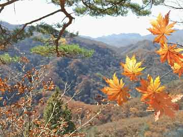 海上花