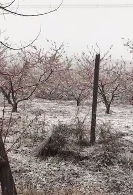 昌乐天气预报更新通知