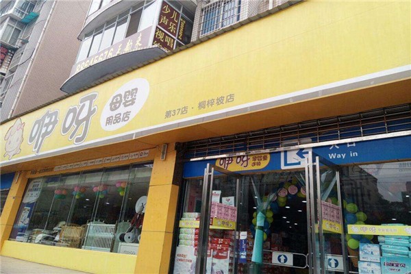 最新品牌加盟店，成功之路与未来趋势探索